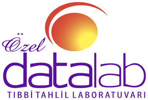 Datalab